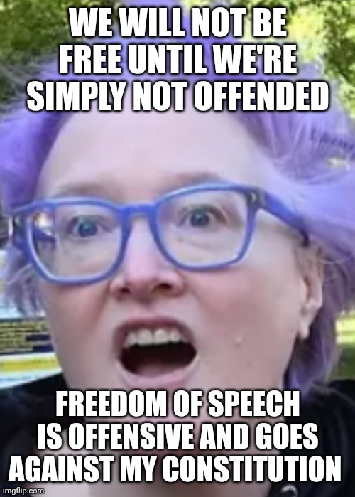 WE WILL NOT BE FREE UNTIL WE'RE SIMPLY NOT OFFENDED FREEDOM OF SPEECH IS OFFENSIVE AND GOES AGAINST MY CONSTITUTION | made w/ Imgflip meme maker