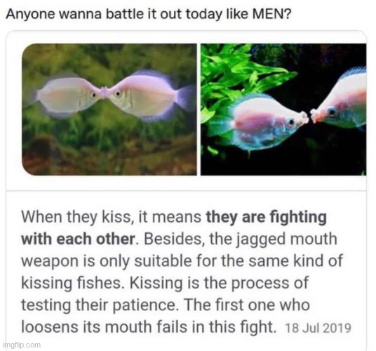 C'mon, who wants in? | made w/ Imgflip meme maker