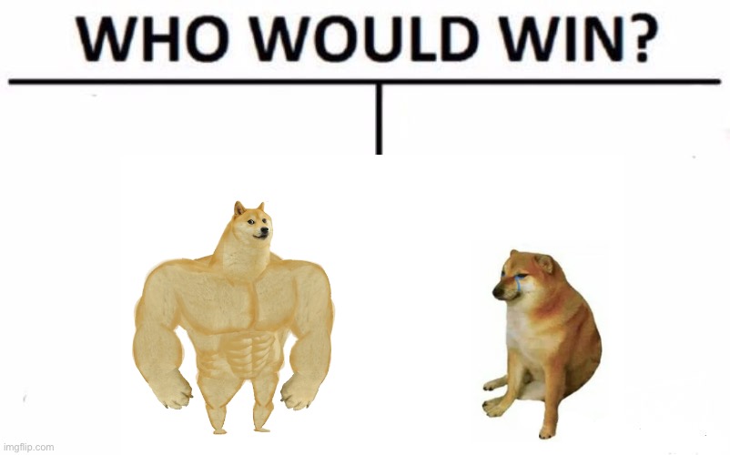 Who would win? | image tagged in buff doge vs cheems,fun,who would win | made w/ Imgflip meme maker