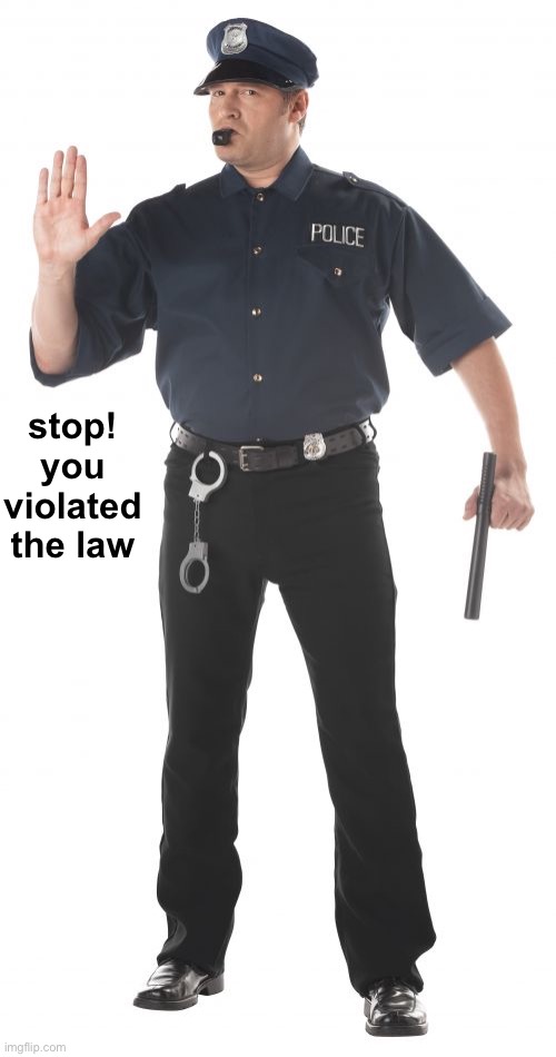 Stop Cop Meme | stop! you violated the law | image tagged in memes,stop cop | made w/ Imgflip meme maker