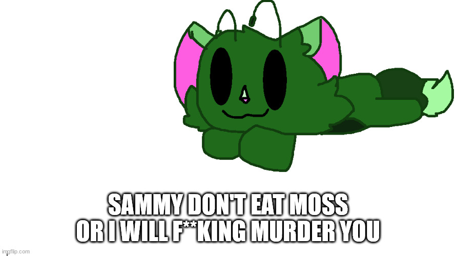 SAMMY DON'T EAT MOSS OR I WILL F**KING MURDER YOU | made w/ Imgflip meme maker