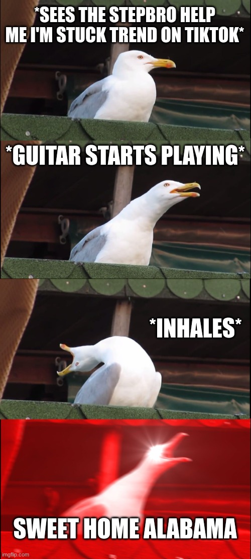 Inhaling Seagull | *SEES THE STEPBRO HELP ME I'M STUCK TREND ON TIKTOK*; *GUITAR STARTS PLAYING*; *INHALES*; SWEET HOME ALABAMA | image tagged in memes,inhaling seagull | made w/ Imgflip meme maker