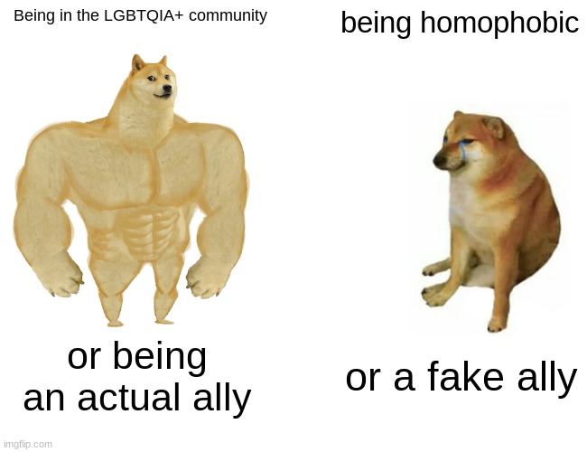 Buff Doge vs. Cheems Meme | Being in the LGBTQIA+ community; being homophobic; or being an actual ally; or a fake ally | image tagged in memes,buff doge vs cheems | made w/ Imgflip meme maker
