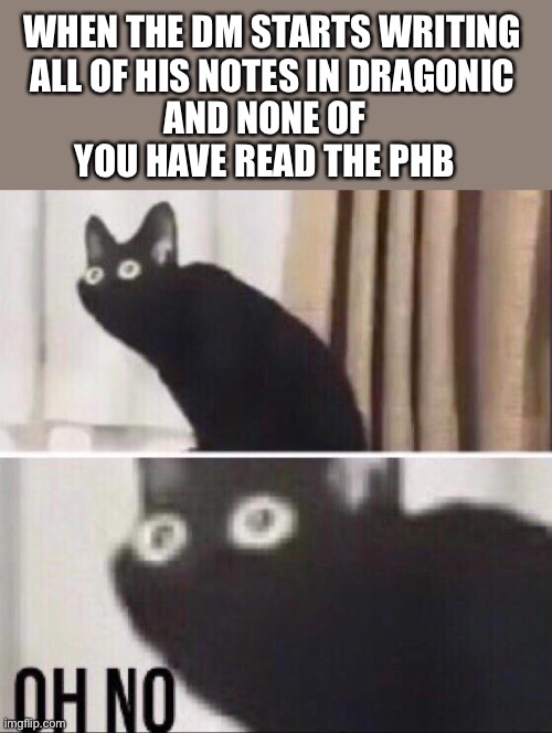 He’s up to something, and it’s probably not good | WHEN THE DM STARTS WRITING ALL OF HIS NOTES IN DRAGONIC; AND NONE OF YOU HAVE READ THE PHB | image tagged in oh no cat,dnd | made w/ Imgflip meme maker