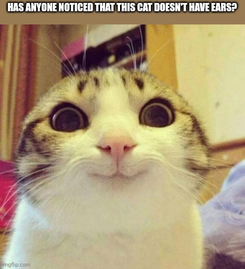 Smiling Cat | HAS ANYONE NOTICED THAT THIS CAT DOESN'T HAVE EARS? | image tagged in memes,smiling cat | made w/ Imgflip meme maker