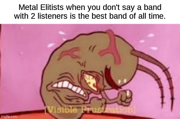 Visible Frustration | Metal Elitists when you don't say a band with 2 listeners is the best band of all time. | image tagged in visible frustration | made w/ Imgflip meme maker