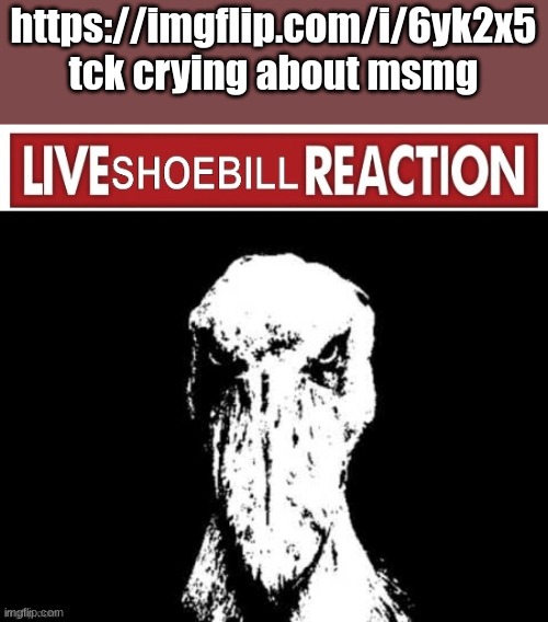 Live Shoebill Reaction | https://imgflip.com/i/6yk2x5
tck crying about msmg | image tagged in live shoebill reaction | made w/ Imgflip meme maker