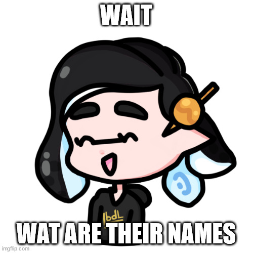 splitza | WAIT WAT ARE THEIR NAMES | image tagged in splitza | made w/ Imgflip meme maker