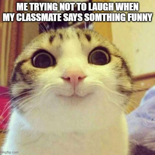 why does this feel relatable | ME TRYING NOT TO LAUGH WHEN MY CLASSMATE SAYS SOMTHING FUNNY | image tagged in memes,smiling cat | made w/ Imgflip meme maker