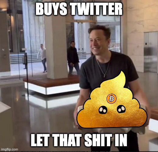 Let that Shit In | BUYS TWITTER; LET THAT SHIT IN | image tagged in elon musk twitter,elon,musk,twitter,sink | made w/ Imgflip meme maker