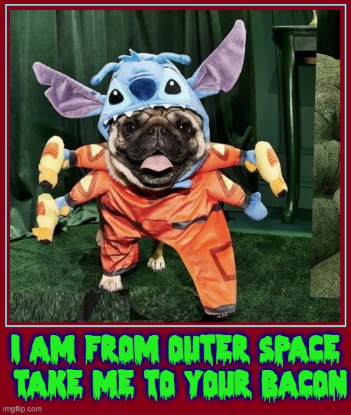 From the Planet K-9... | I AM FROM OUTER SPACE
 TAKE ME TO YOUR BACON | image tagged in vince vance,dogs,aliens,memes,outer space,bacon | made w/ Imgflip meme maker