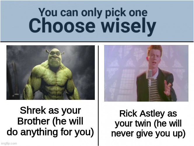 Pick one or else.. | Shrek as your Brother (he will do anything for you); Rick Astley as your twin (he will never give you up) | image tagged in you can pick only one choose wisely,why are you reading this | made w/ Imgflip meme maker