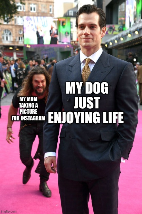 Jason Momoa Henry Cavill Meme | MY DOG JUST ENJOYING LIFE; MY MOM TAKING A PICTURE FOR INSTAGRAM | image tagged in jason momoa henry cavill meme | made w/ Imgflip meme maker