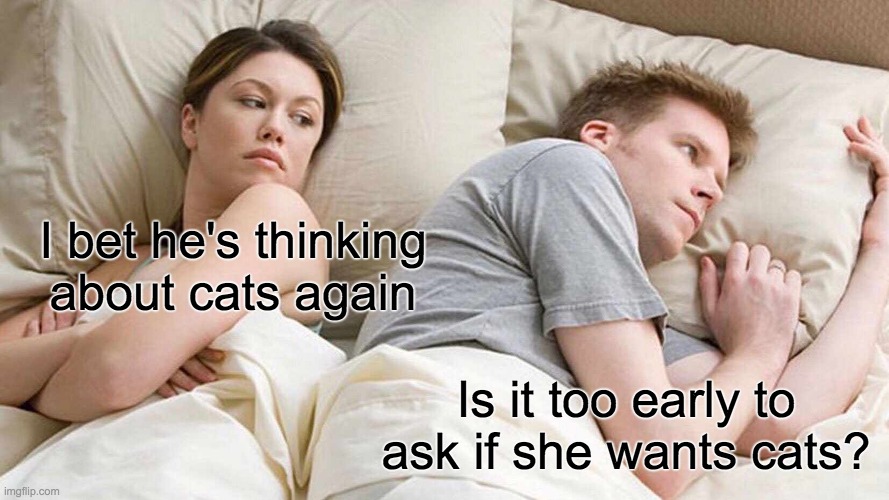 I Bet He's Thinking About Other Women | I bet he's thinking about cats again; Is it too early to ask if she wants cats? | image tagged in memes,i bet he's thinking about other women | made w/ Imgflip meme maker