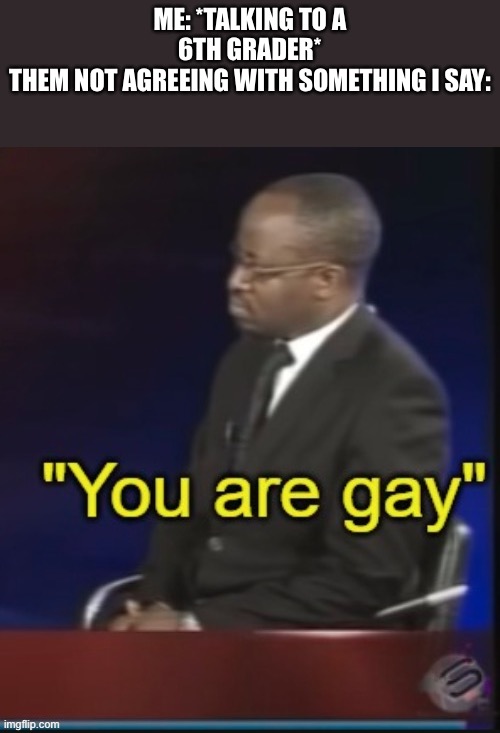 Oh, wow! That rhymes! I did not intend that to happen |  ME: *TALKING TO A 6TH GRADER*
THEM NOT AGREEING WITH SOMETHING I SAY: | image tagged in you are gay | made w/ Imgflip meme maker