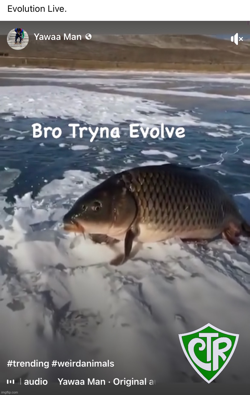 This is what atheists actually think. Obviously that poor fish’s fins just got frozen. #intelligentdesign | image tagged in bro tryna evolve,intelligent design,this is what atheists actually think,c,r,t | made w/ Imgflip meme maker