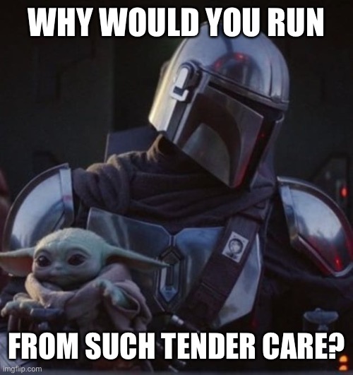 Baby Yoda and Mando | WHY WOULD YOU RUN; FROM SUCH TENDER CARE? | image tagged in baby yoda and mando | made w/ Imgflip meme maker