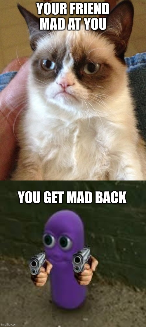  YOUR FRIEND MAD AT YOU; YOU GET MAD BACK | image tagged in memes,grumpy cat,beanos | made w/ Imgflip meme maker