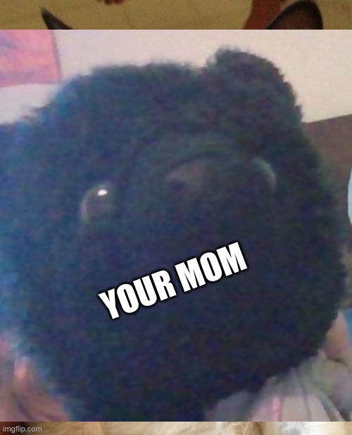 your mom not your dad | YOUR MOM | image tagged in one does not simply | made w/ Imgflip meme maker