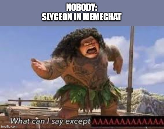 What can i say except aaaaaaaaaaa | NOBODY:
SLYCEON IN MEMECHAT | image tagged in what can i say except aaaaaaaaaaa | made w/ Imgflip meme maker