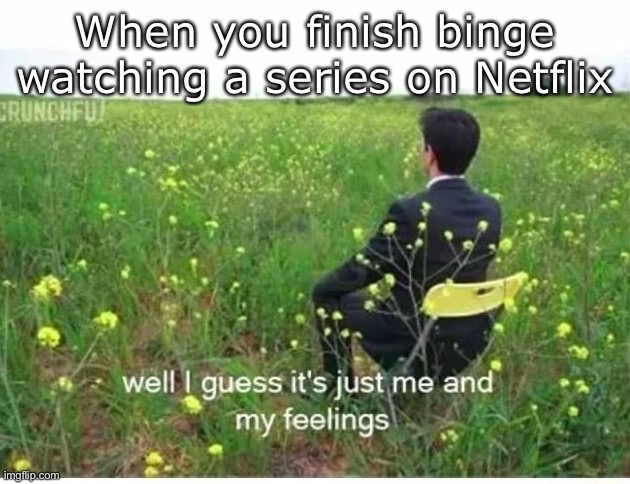 Netflix finished | When you finish binge watching a series on Netflix | image tagged in well i guess it's just me and my feelings,finished,netflix,alone | made w/ Imgflip meme maker