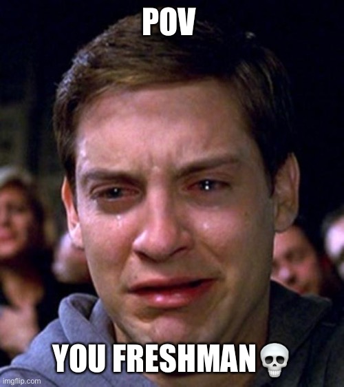 POV: you freshman | POV; YOU FRESHMAN💀 | image tagged in crying peter parker | made w/ Imgflip meme maker