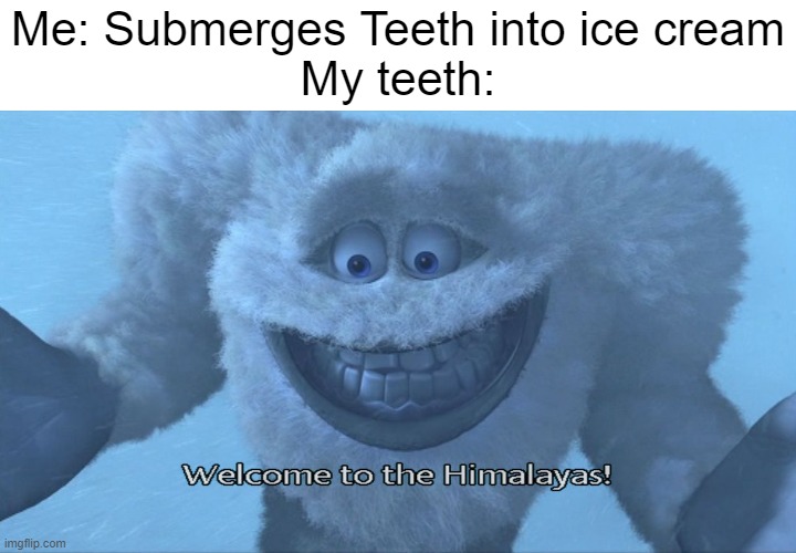 Welcome to the himalayas |  Me: Submerges Teeth into ice cream

My teeth: | image tagged in welcome to the himalayas,memes,ice cream | made w/ Imgflip meme maker