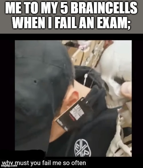 ME TO MY 5 BRAINCELLS WHEN I FAIL AN EXAM; | made w/ Imgflip meme maker