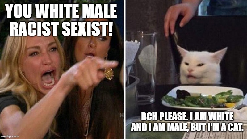 Woman yelling at white cat | YOU WHITE MALE RACIST SEXIST! BCH PLEASE. I AM WHITE AND I AM MALE, BUT I'M A CAT. | image tagged in woman yelling at white cat | made w/ Imgflip meme maker