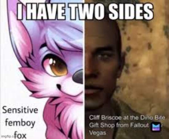 not actually a femboy fox OwO' | made w/ Imgflip meme maker