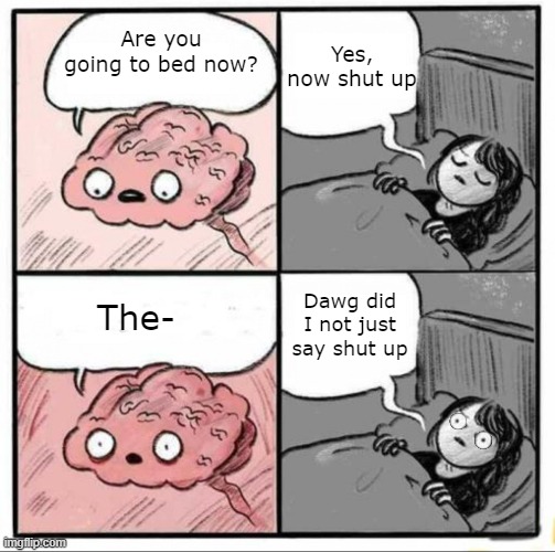 Brain Before Sleep | Yes, now shut up; Are you going to bed now? The-; Dawg did I not just say shut up | image tagged in brain before sleep,edit | made w/ Imgflip meme maker