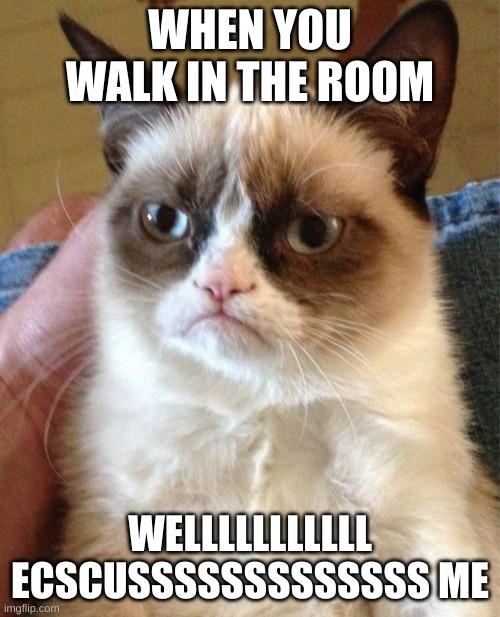 yass | WHEN YOU WALK IN THE ROOM; WELLLLLLLLLLL ECSCUSSSSSSSSSSSSS ME | image tagged in memes,grumpy cat | made w/ Imgflip meme maker