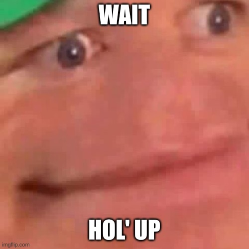 Wait Hol Up | WAIT HOL' UP | image tagged in wait hol up | made w/ Imgflip meme maker