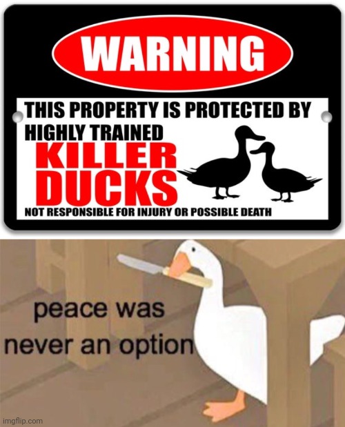 Killer ducks | image tagged in untitled goose peace was never an option,killer,duck,ducks,funny signs,memes | made w/ Imgflip meme maker