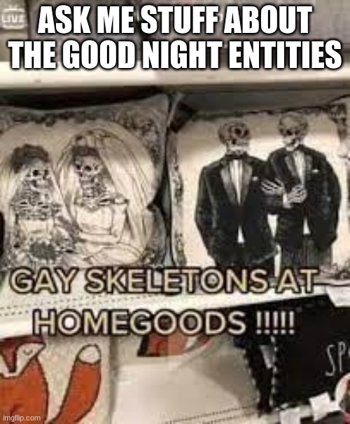 GAY SKELETONS AT HOMEGOODS !!!!! | ASK ME STUFF ABOUT THE GOOD NIGHT ENTITIES | image tagged in gay skeletons at homegoods | made w/ Imgflip meme maker