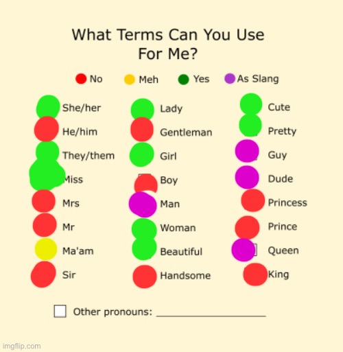 just saying :) | image tagged in pronouns sheet | made w/ Imgflip meme maker