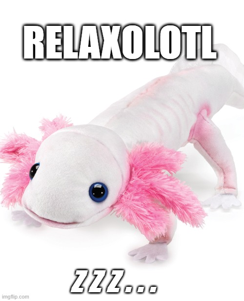 Relaxolotl |  RELAXOLOTL; z z z . . . | image tagged in axolotl,elementary,school,vacation,relax,nap | made w/ Imgflip meme maker