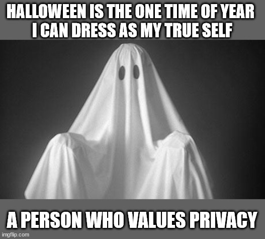 This trick is a treat | HALLOWEEN IS THE ONE TIME OF YEAR 
I CAN DRESS AS MY TRUE SELF; A PERSON WHO VALUES PRIVACY | image tagged in ghost | made w/ Imgflip meme maker
