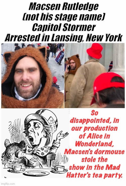 Capitol Dormouse Arrested in New York | image tagged in terrorist | made w/ Imgflip meme maker