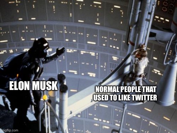 Elon Musk | ELON MUSK; NORMAL PEOPLE THAT USED TO LIKE TWITTER | image tagged in luke skywalker and darth vader | made w/ Imgflip meme maker