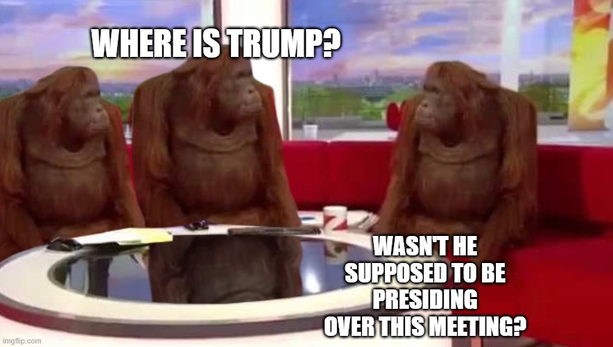 where monkey | WHERE IS TRUMP? WASN'T HE SUPPOSED TO BE PRESIDING OVER THIS MEETING? | image tagged in where monkey | made w/ Imgflip meme maker