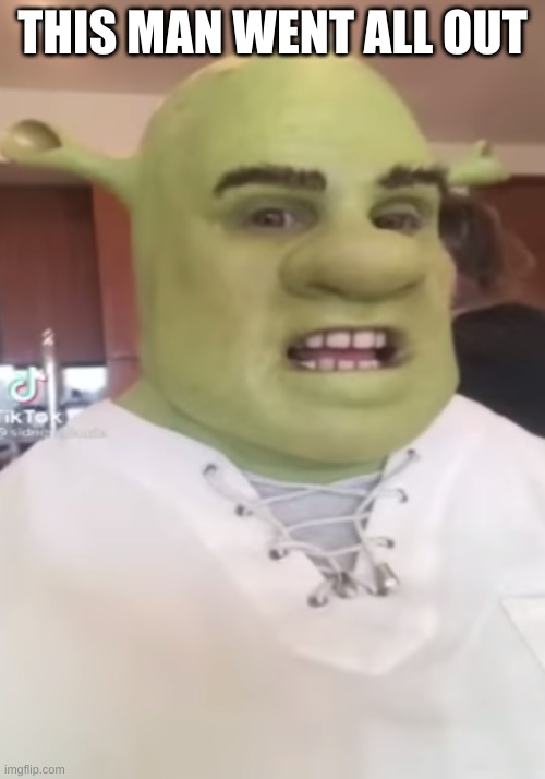 For all my Shrek fans out there | THIS MAN WENT ALL OUT | image tagged in shrek,halloween costume,in real life | made w/ Imgflip meme maker