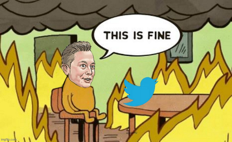 image tagged in twitter,disaster,elon musk,this is fine,this is fine dog,elon musk buying twitter | made w/ Imgflip meme maker