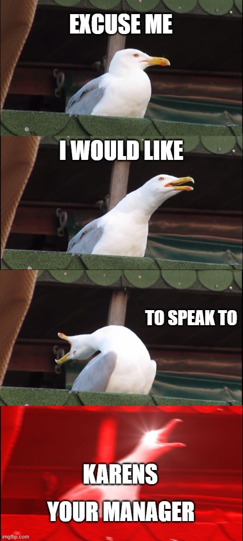 It be like | EXCUSE ME; I WOULD LIKE; TO SPEAK TO; KARENS; YOUR MANAGER | image tagged in memes,inhaling seagull | made w/ Imgflip meme maker