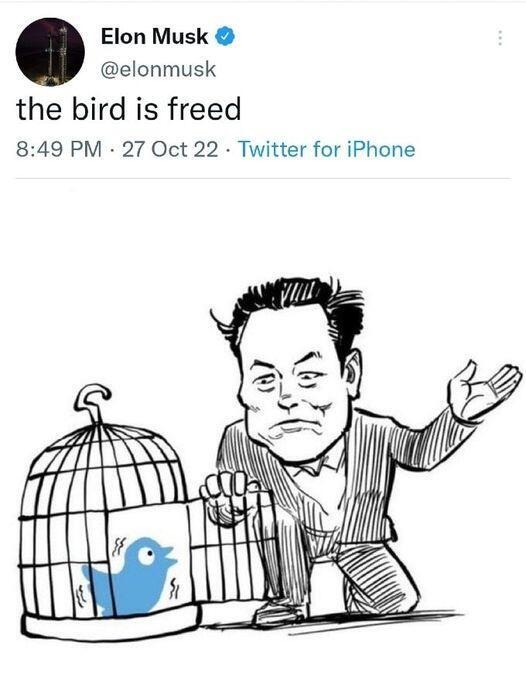 Freebird Revisited | image tagged in freebird,elon musk blank tweet,elon musk buying twitter,elon musk laughing,elon musk | made w/ Imgflip meme maker