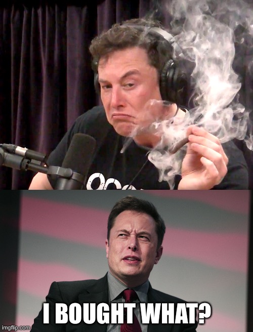 I BOUGHT WHAT? | image tagged in elon musk high af,confused elon musk | made w/ Imgflip meme maker