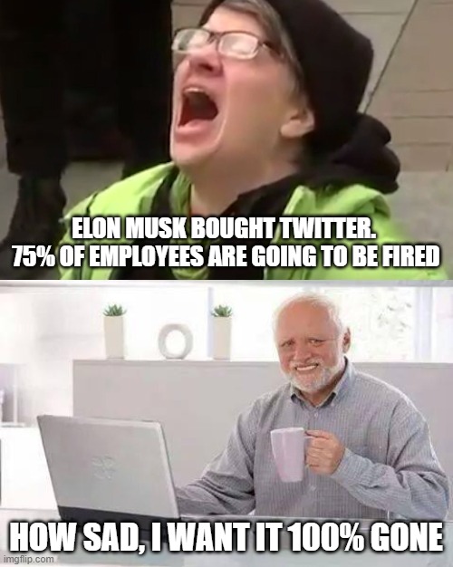 ELON MUSK BOUGHT TWITTER. 
75% OF EMPLOYEES ARE GOING TO BE FIRED; HOW SAD, I WANT IT 100% GONE | image tagged in elon musk buying twitter | made w/ Imgflip meme maker