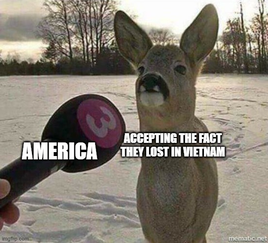 Don't worry, they lost from Vietnam in America | AMERICA; ACCEPTING THE FACT THEY LOST IN VIETNAM | image tagged in deer interviewed,memes | made w/ Imgflip meme maker