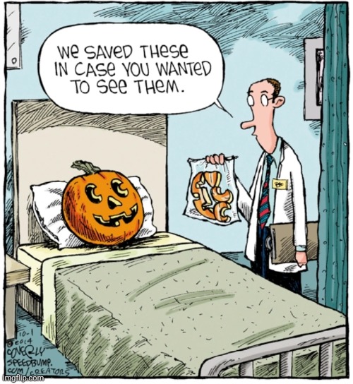 TAKE 'EM HOME AND FEED THE SQUIRRELS | image tagged in pumpkin,jack-o-lanterns,spooktober,comics/cartoons | made w/ Imgflip meme maker