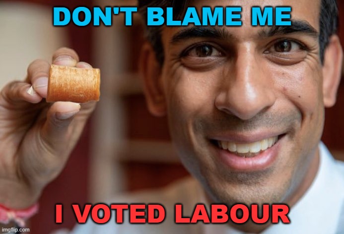 Don't Blame Me I Voted Labour | DON'T BLAME ME; I VOTED LABOUR | image tagged in rishi sunak | made w/ Imgflip meme maker